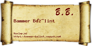 Bammer Bálint névjegykártya